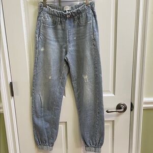 Rag and Bone Miramar Jogger Pants with side pockets and faux front and back